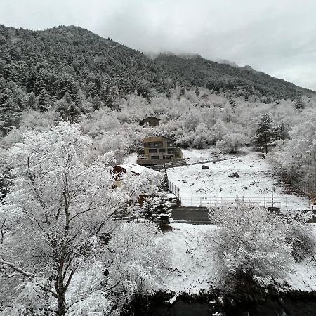 Els Esquiadors Llorts Apartment Екстериор снимка
